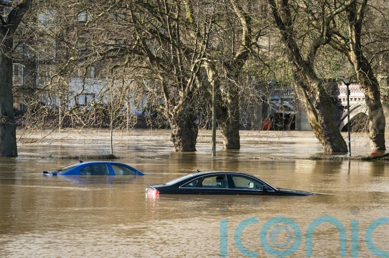 British-born dog breeder dies after getting caught in Australian floods