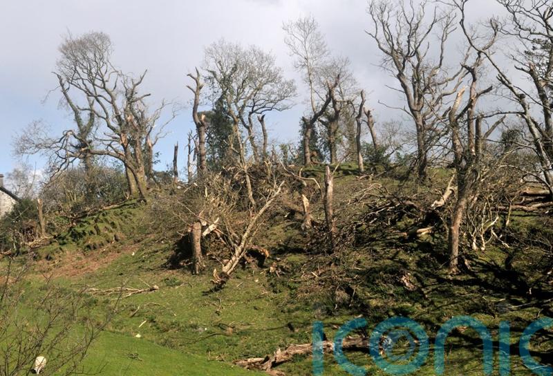 Owner ‘in shock’ after tornado batters Welsh farm