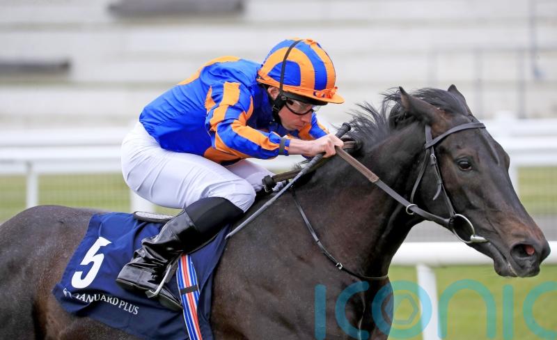 O’Brien sets sights on Royal Ascot with Meditate