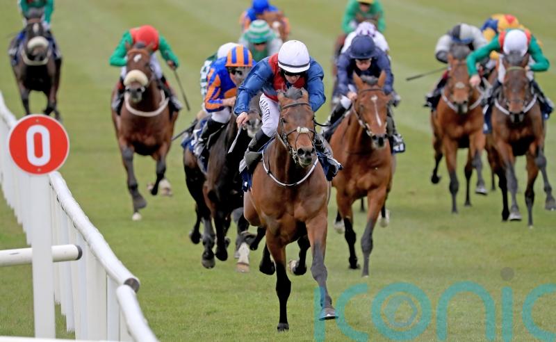 Waterville only third on eagerly-awaited debut at the Curragh
