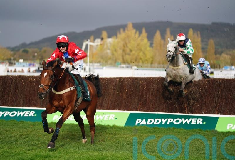Silver takes Cheltenham gold