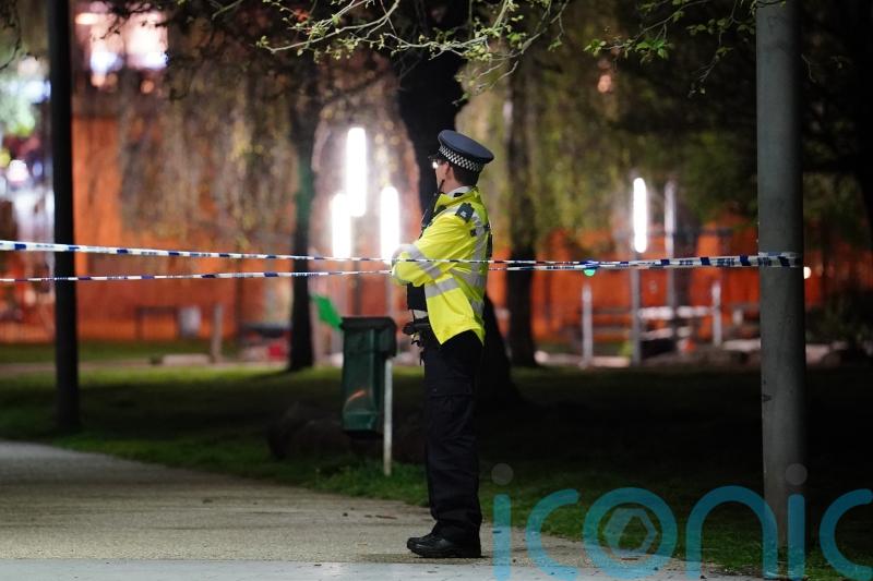 Boy, 16, dies in stabbing after police called to reports of fight