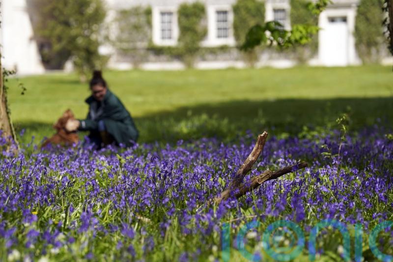 Good Friday set to be hottest day of year, experts predict