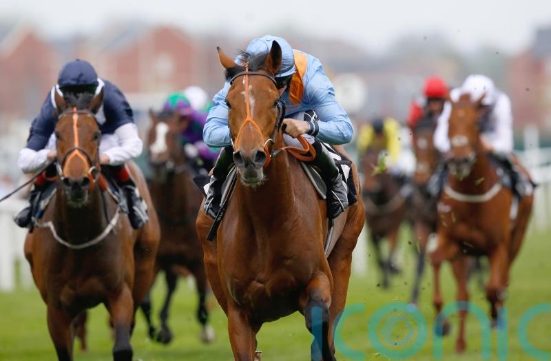 Raymond Tusk takes on Porter prize for Alan King