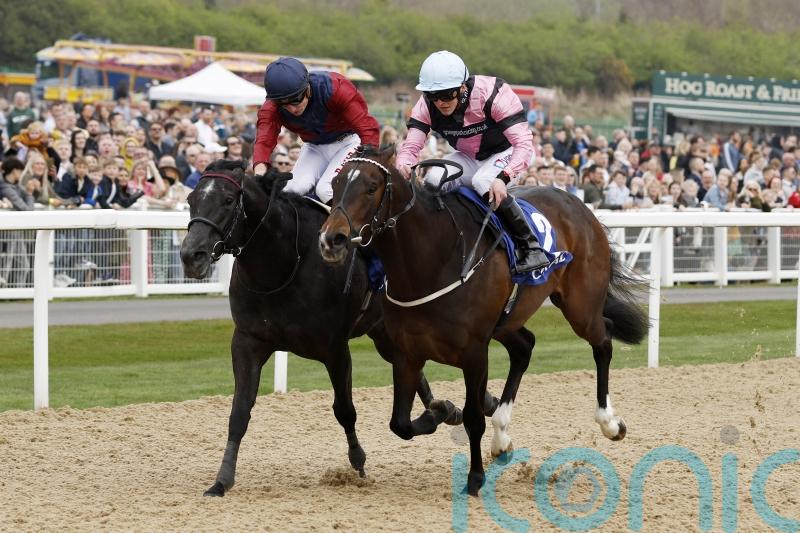 Commonwealth Cup possibility for El Caballo as all-weather run goes on