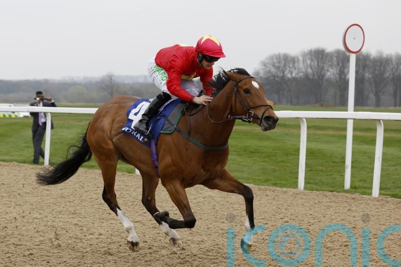 Plan comes to fruition as Highfield Princess sets up big sprint campaign