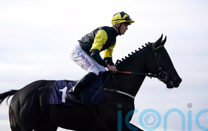 Aasser strikes Lingfield gold for Burke and James