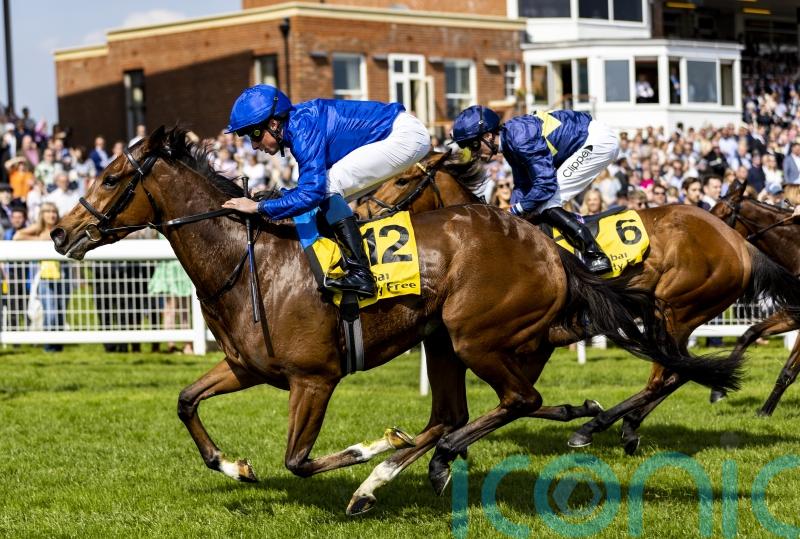 Wild Beauty enhances Classic claims with Newbury verdict