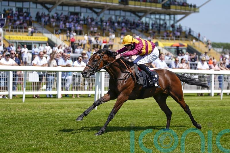 Varian planning direct Classic route for Bayside Boy