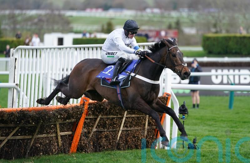 No Punchestown for Constitution Hill