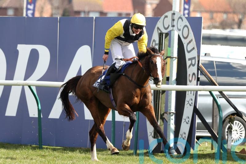 Progressive Win My Wings heads up bet365 Gold Cup contenders