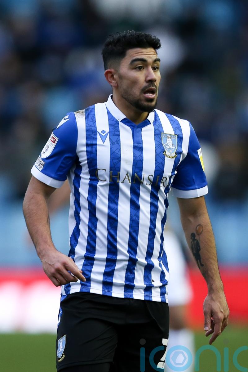Massimo Luongo could return for Sheffield Wednesday against Crewe