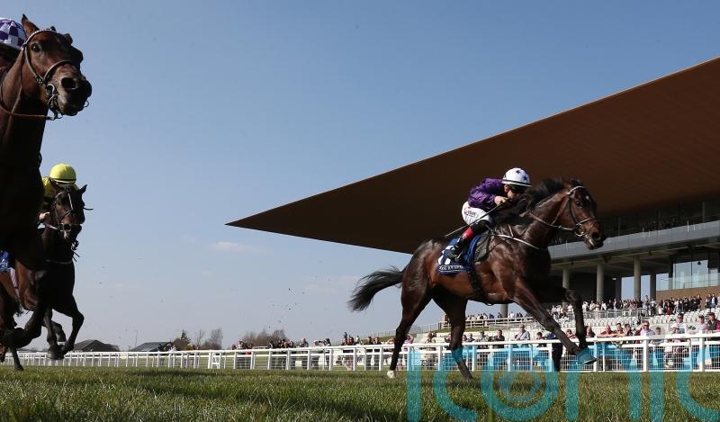 Malex to go on Guineas trial in Tetrarch
