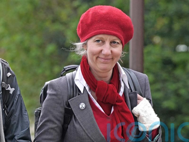 Trial of Extinction Rebellion co-founder delayed pending High Court judgment