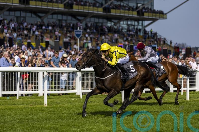 Perfect Power will go for 2000 Guineas gold