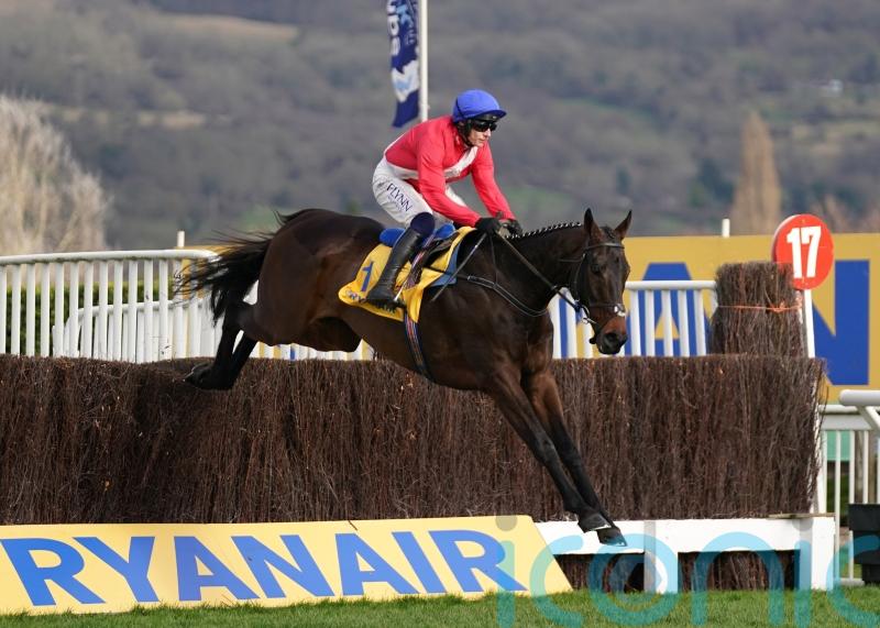 Mullins favouring Gold run with Allaho at Punchestown
