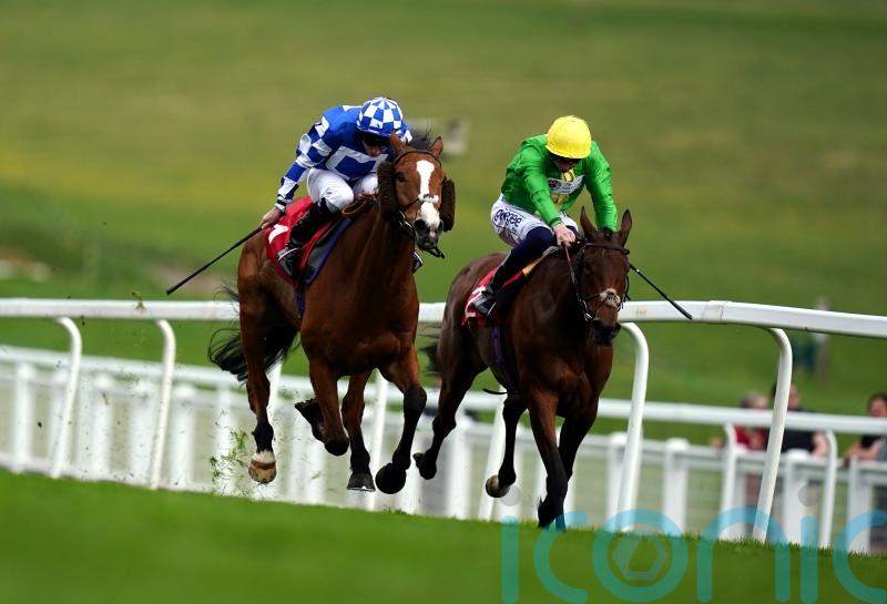 Sizzler burns off City And Suburban rivals