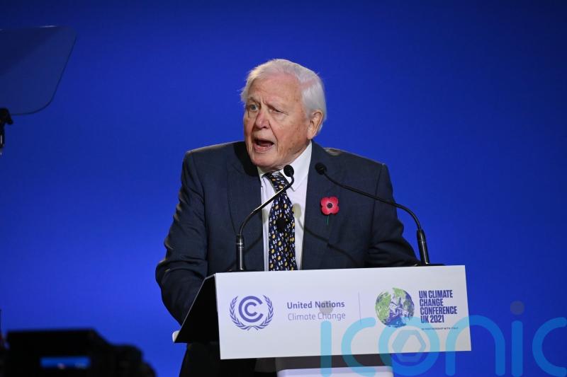 United Nations names David Attenborough Champion of the Earth