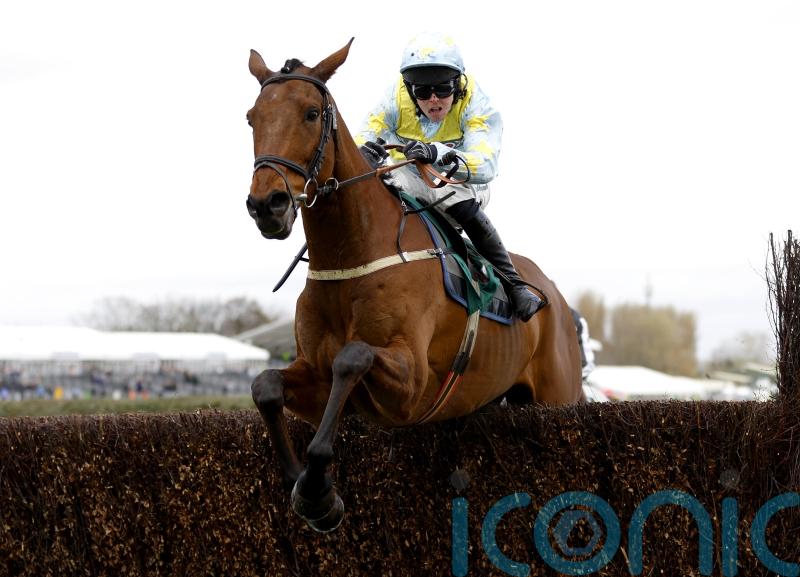 Hales happy to head for Punchestown with Aintree hero Millers Bank