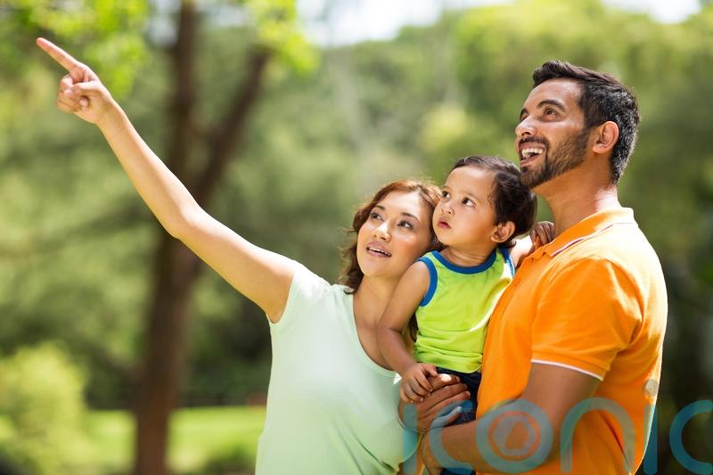 7 ways to encourage children to love and protect birds