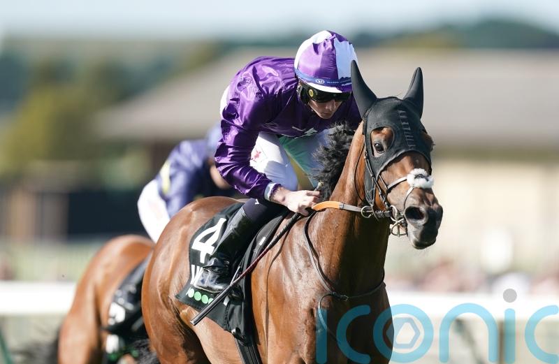 Loughnane confident ‘rock solid’ Hello You can make Guineas impact
