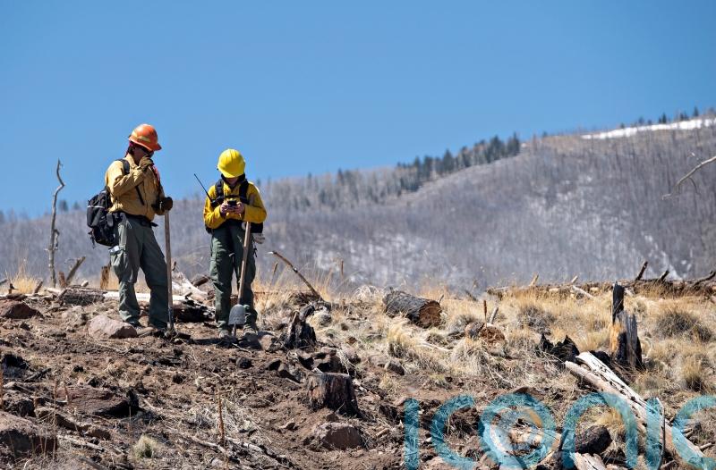 Growing US wildfires ‘a very chaotic situation’, expert says