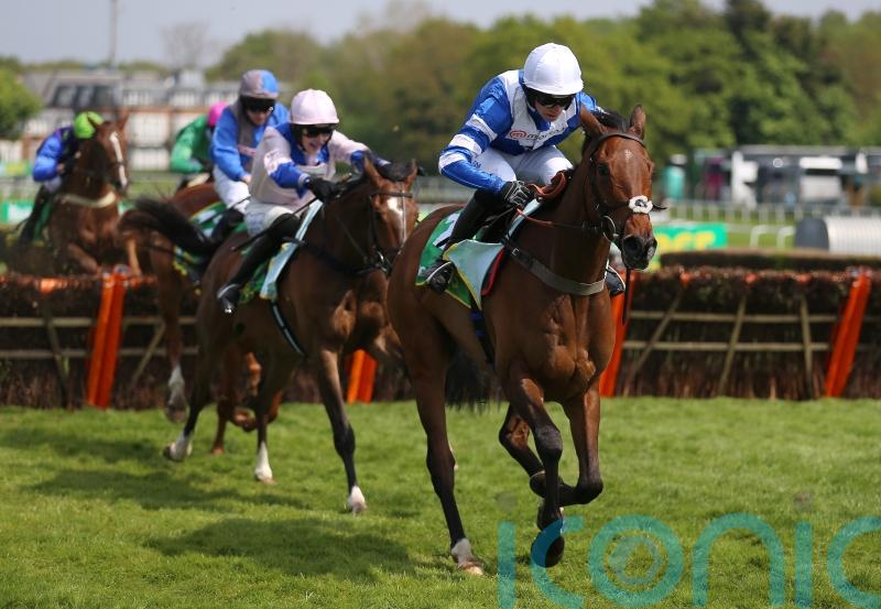 Knappers Hill hits the target in Sandown Final