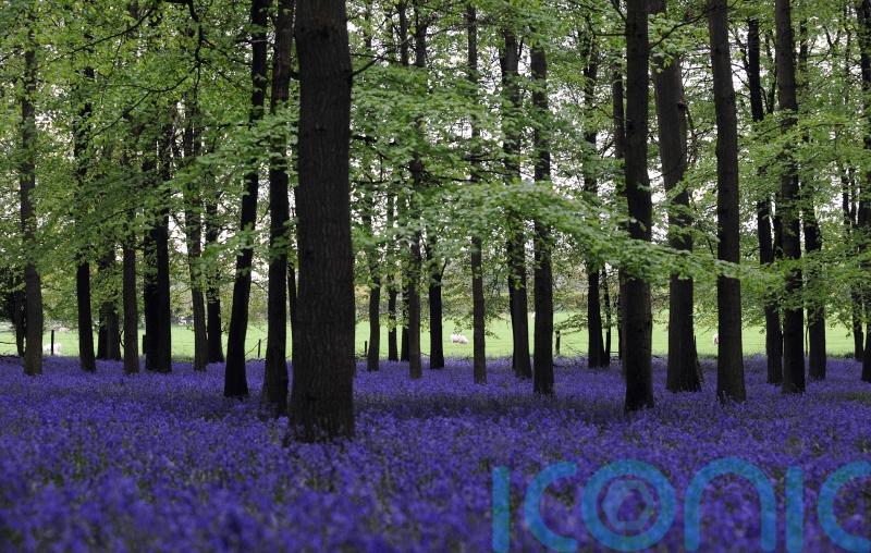 Funding scheme for youth-led nature projects urges 11-26-year-olds to apply