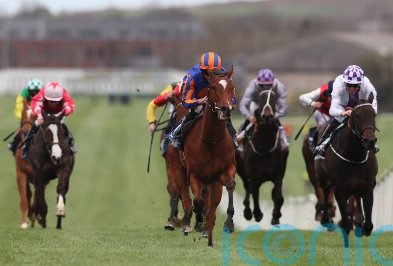 Favourite Tenebrism tops 16 in contention for 1000 Guineas gold