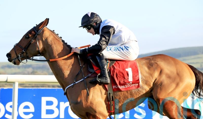 Bob Olinger steps up in search of Festival double at Punchestown