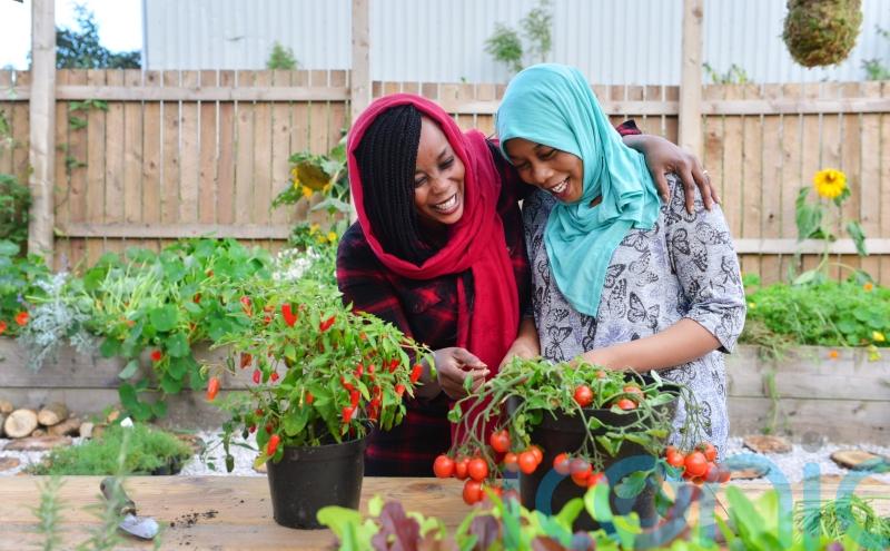 How to set up a community garden – and aid mental, physical and social wellbeing