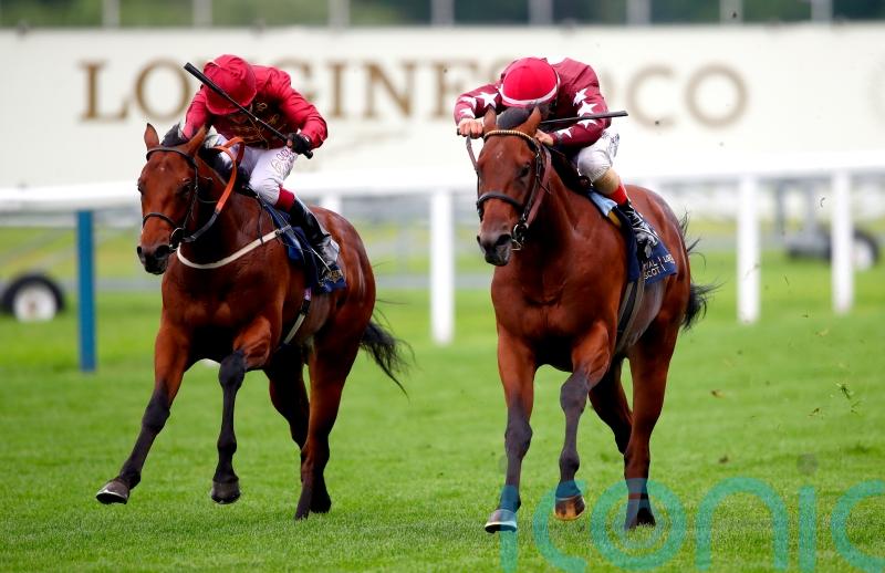Golden Pal primed to lead Ward’s Royal Ascot team