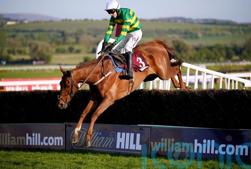 Capodanno sparkles as Bob Olinger disappoints in Champion Novice Chase