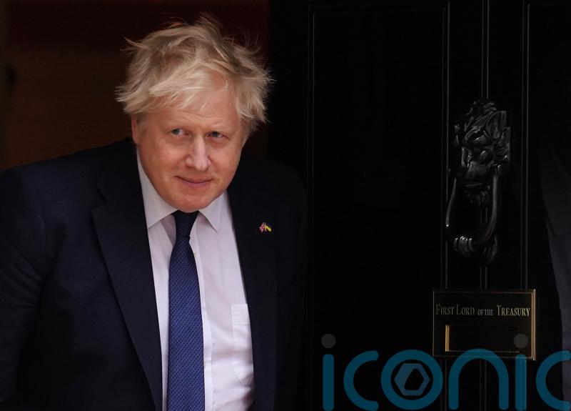 Johnson says public deserve ‘faster, cheaper’ passport service