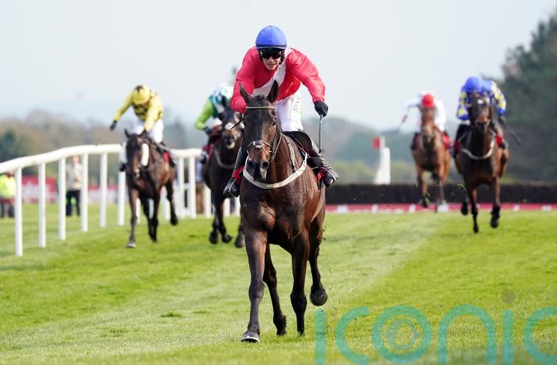 Allaho storms to all-the-way Punchestown Gold Cup win