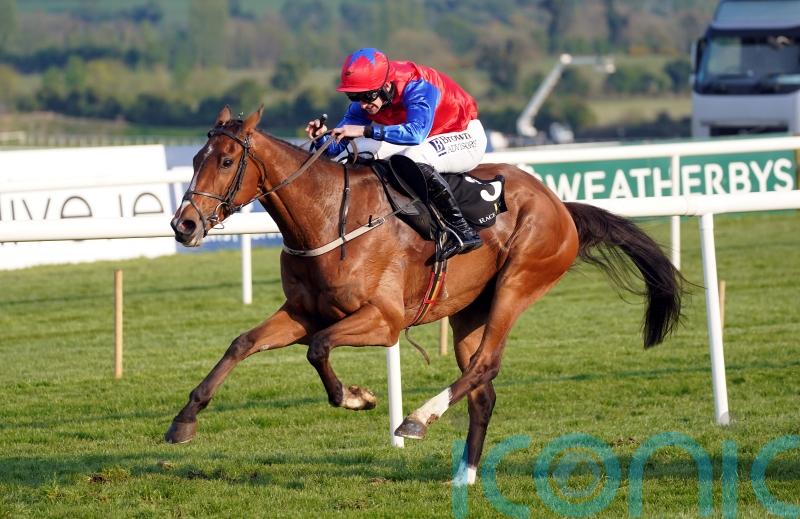 Facile Vega records Cheltenham-Punchestown double
