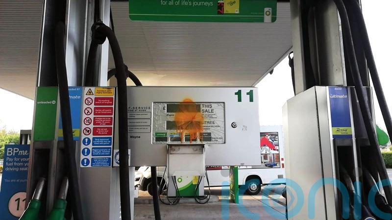 Climate protesters smash petrol pumps at motorway services