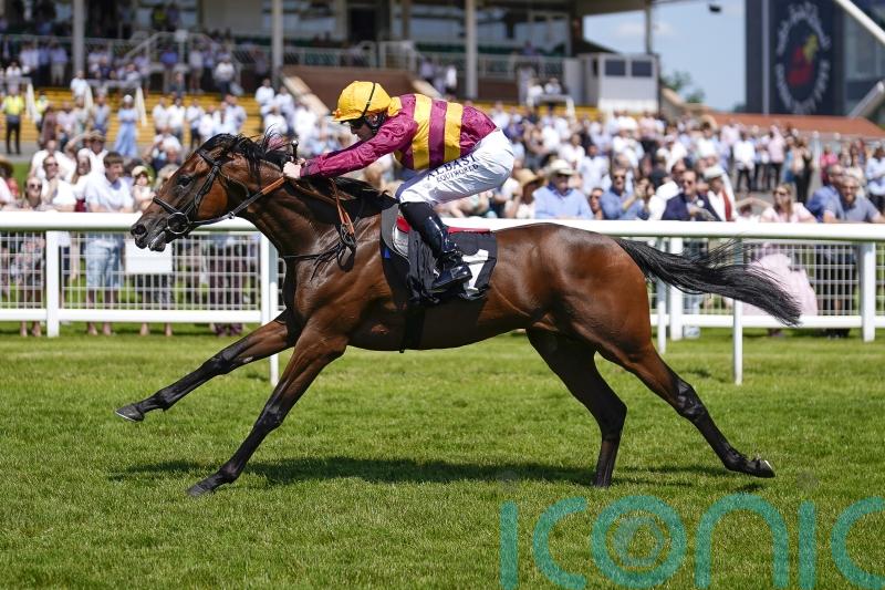 Bayside Boy skips Newmarket for French Guineas