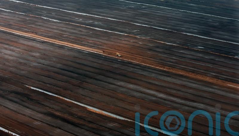 Govt plan to restrict turf sales 'not an outright ban', insists Eamon Ryan