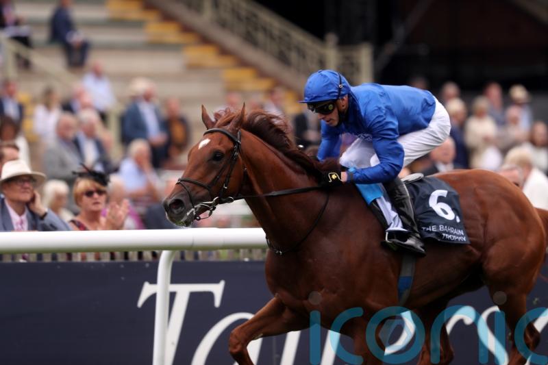 Globetrotting Yibir poised for starring role at Newmarket