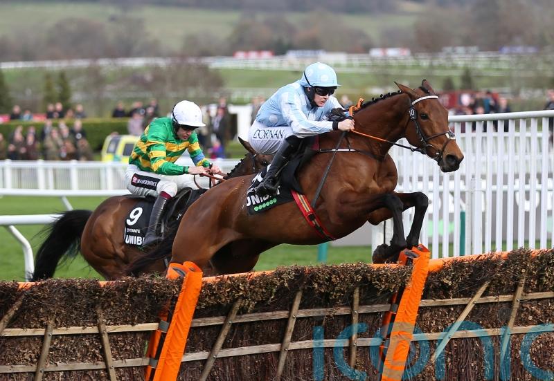 Honeysuckle primed to make it sweet sixteen at Punchestown