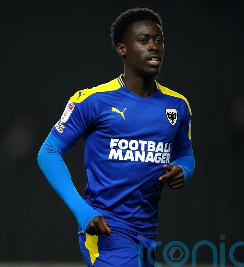 Wimbledon set to recall Paul Osew and Dan Csoka for their League One finale