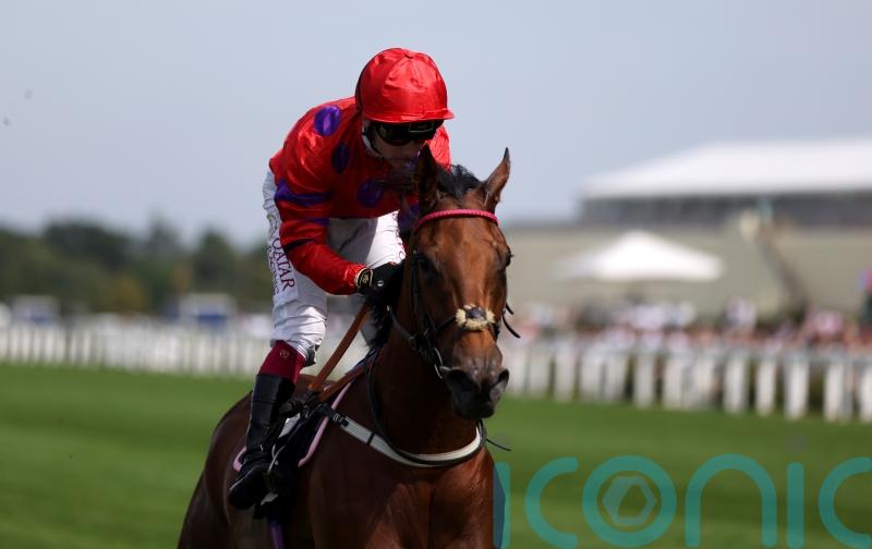 Dreamloper aiming to continue on upward curve