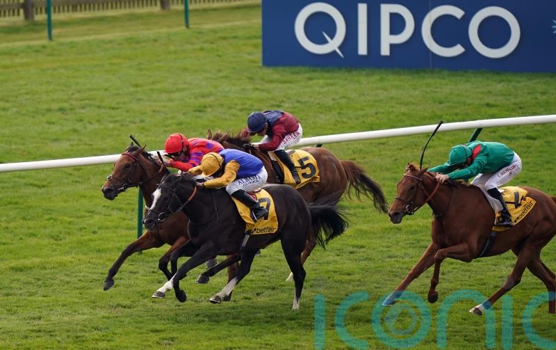 Dreamloper gets the nod in Dahlia Stakes thriller