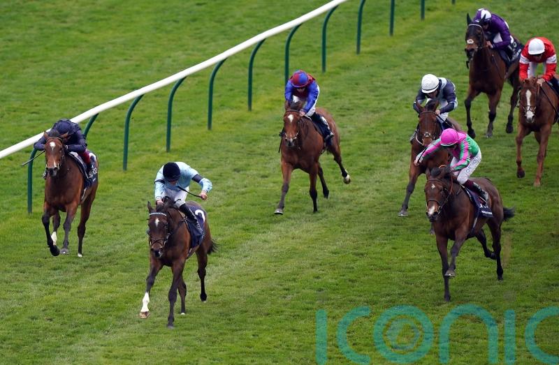 Beckett so close to Classic success with Prosperous Voyage