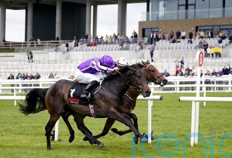 Blackbeard digs deep at the Curragh to stay unbeaten