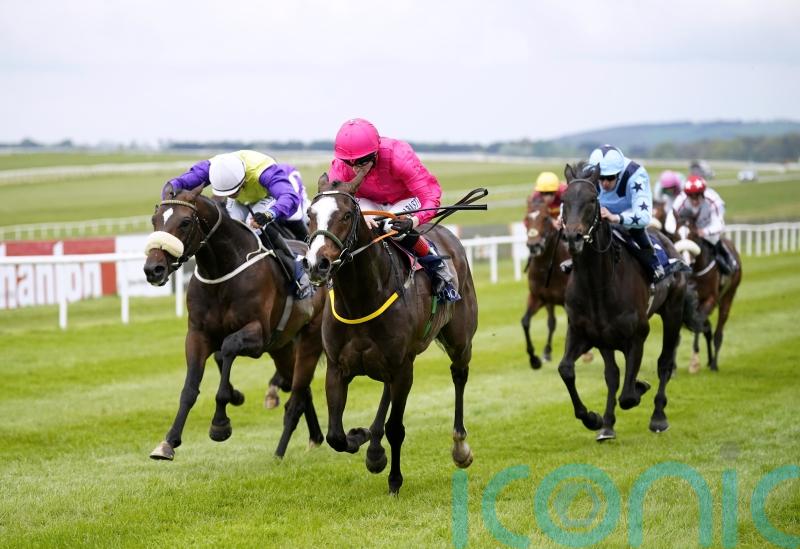 Layfayette continues progression in Mooresbridge Stakes