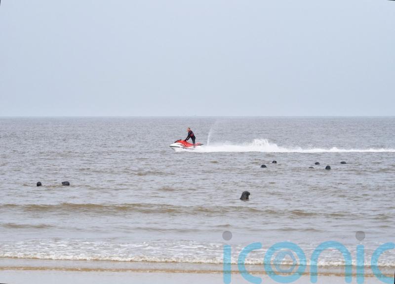 Volunteers criticise jet-skiers for &lsquo;harassing&rsquo; seals resting on shoreline