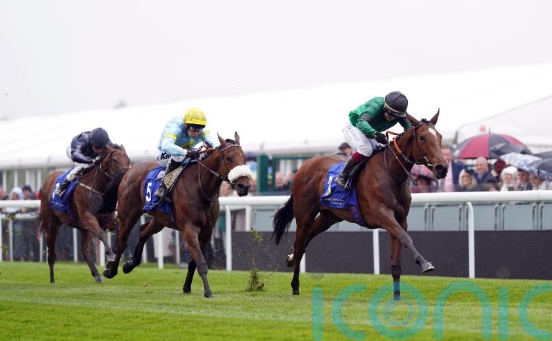 Absolutelyflawless maintains perfect record at Chester