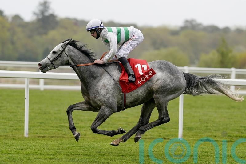 Albaflora goes for Ormonde gold on seasonal return